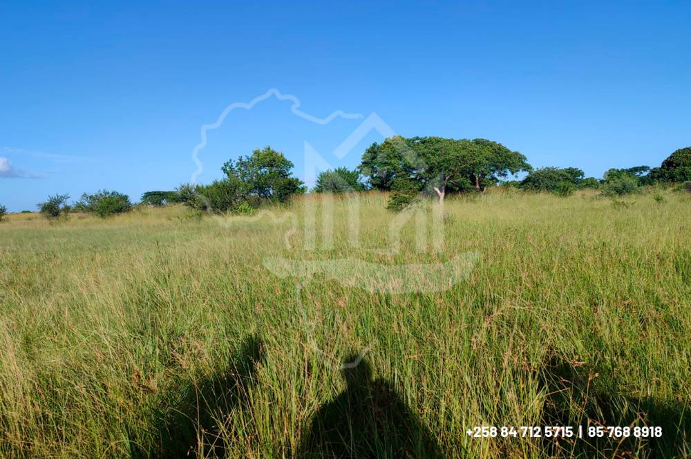 Trespassa-se 2 Terrenos com as seguintes medidas cada 15/30m com o valor inédito de 75 mil meticais cada.