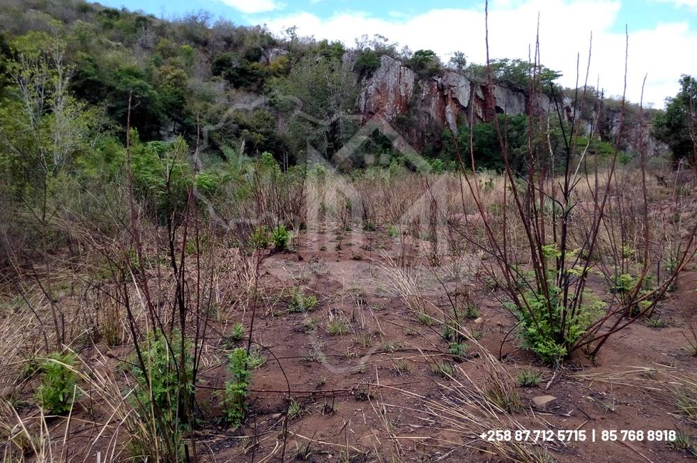 Trespassa-se um Terreno espetacular de 100/200m na primeira linha do rio