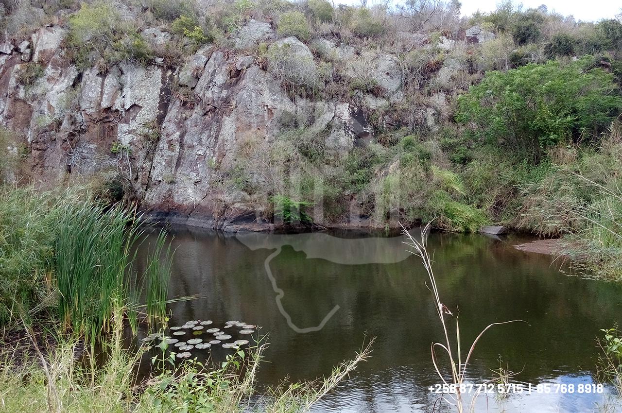 Trespassa-se: Espetacular Propriedade prima de 4 hectares para Agricultura e Pecuária ou casa do campo